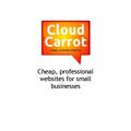 Cloud carrot 500 logo